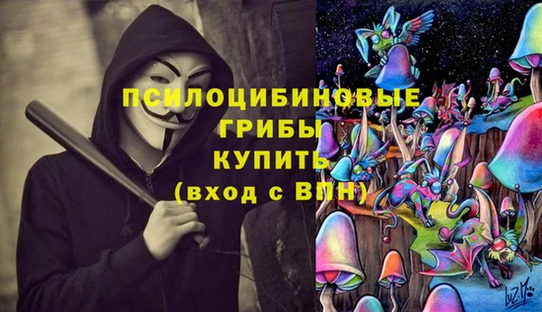 стафф Волоколамск