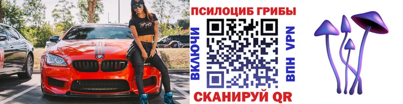 кракен маркетплейс  купить закладку  Камышлов  Галлюциногенные грибы ЛСД 